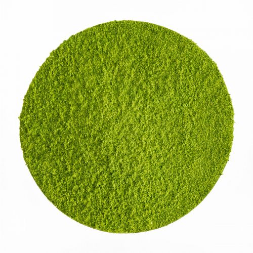 Matcha Cérémonial du Japon "Hisui" BIO